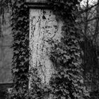 Wiesbaden Nordfriedhof...45