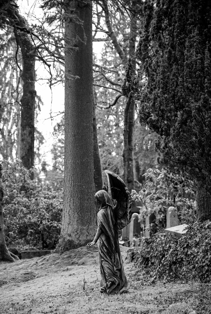 Wiesbaden Nordfriedhof...56