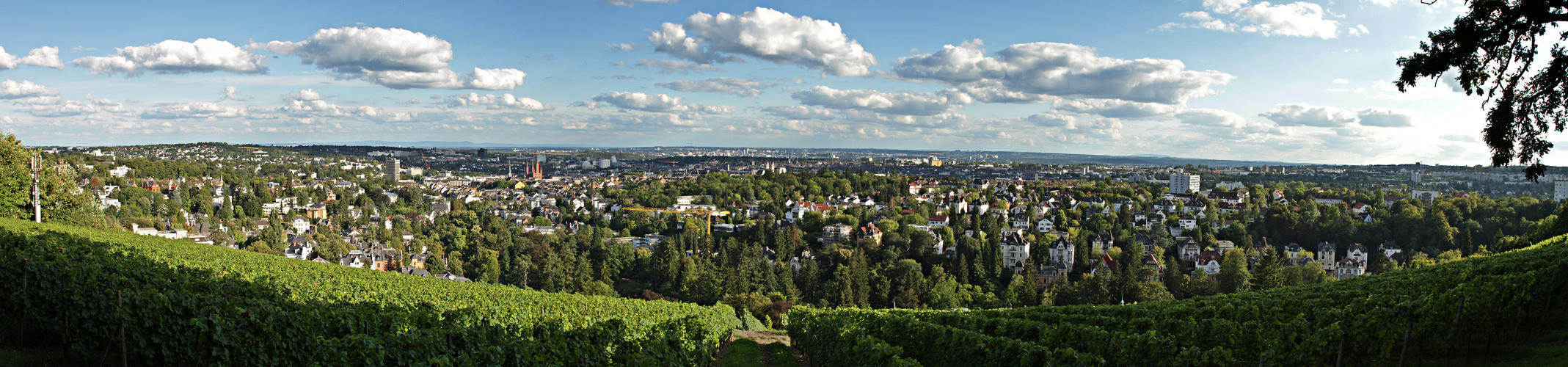 Wiesbaden - Panorama
