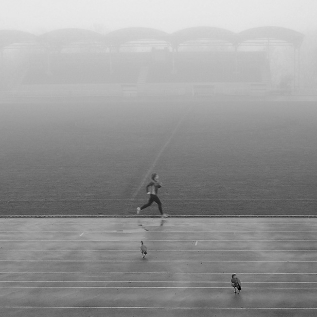 Wiesbaden, Stadion