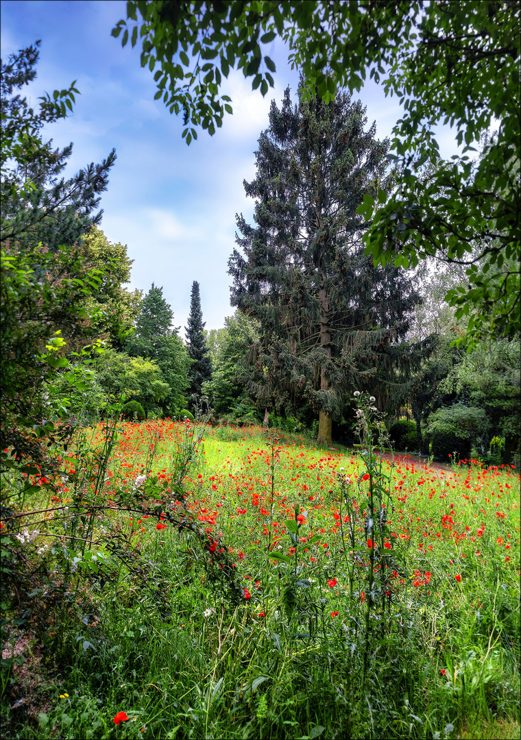 Wiesbaden - Südfriedhof