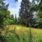 Wiesbaden - Südfriedhof