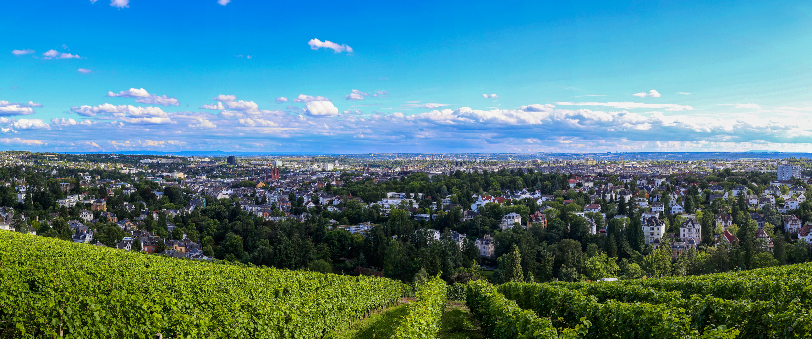 Wiesbaden vom Neroberg gesehen