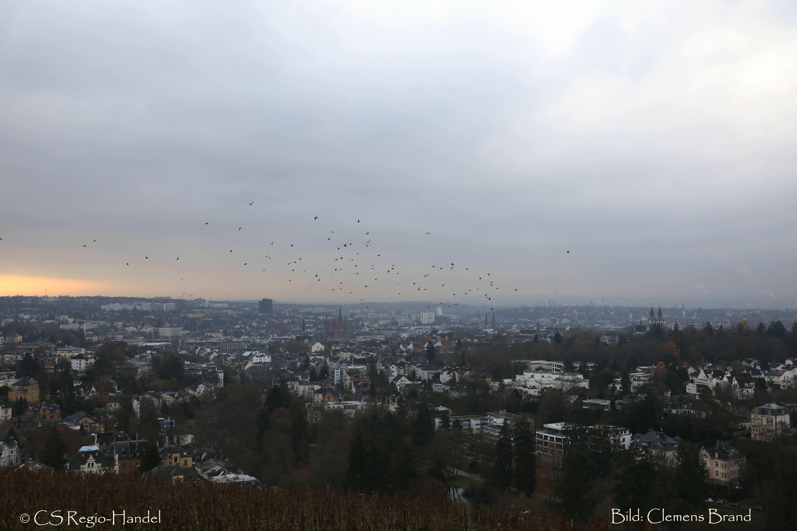 Wiesbaden vom Neroberg im Dezember