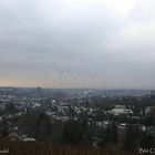 Wiesbaden vom Neroberg im Dezember