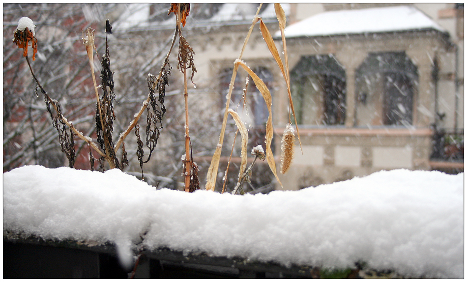 wiesbaden, wetterbericht 9.12., 13.50uhr