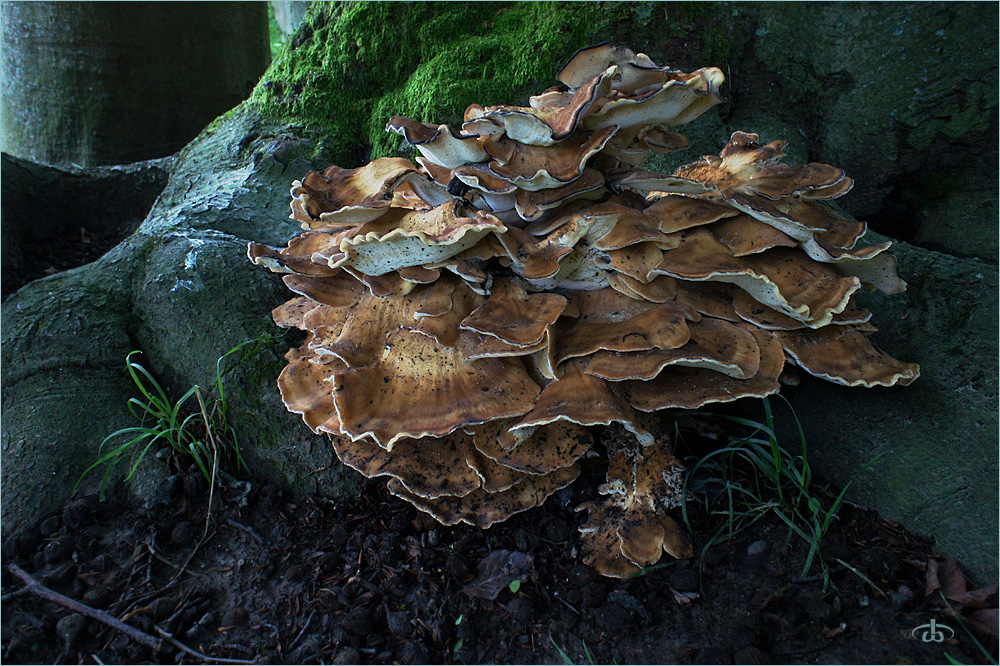 Wiesbadener Parkdetail