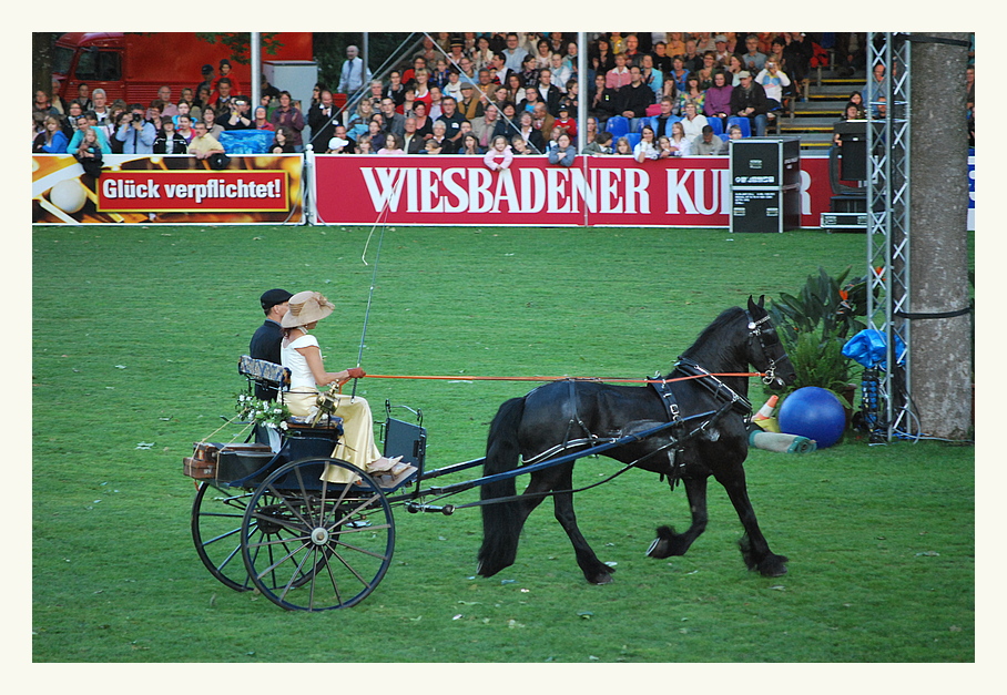 Wiesbadener Pferdenacht