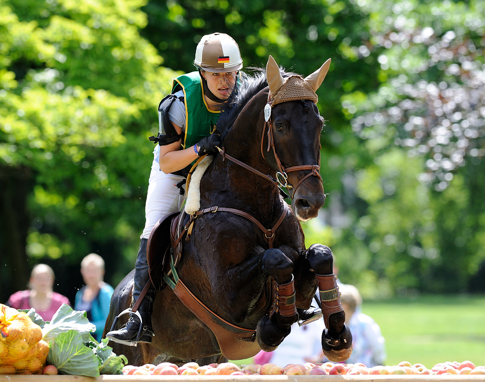 Wiesbadener Pfingstturnier 2011 10