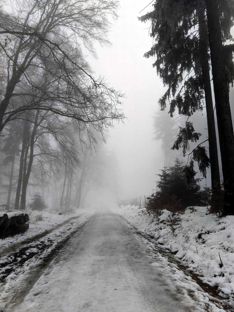 Wiesbadener Zauberwald am 15-01-2022 - jetzt noch mal genießen 01