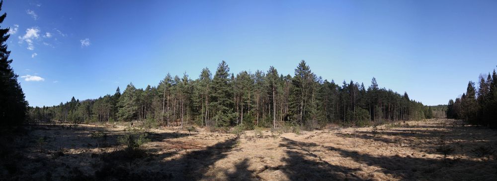 Wiesbüttmoor Panorama