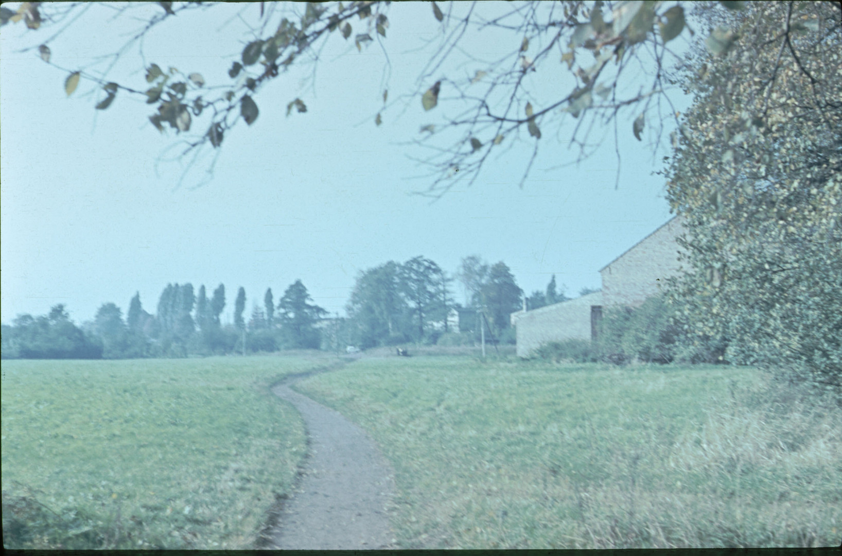 Wiese am Bahnhof Bernau