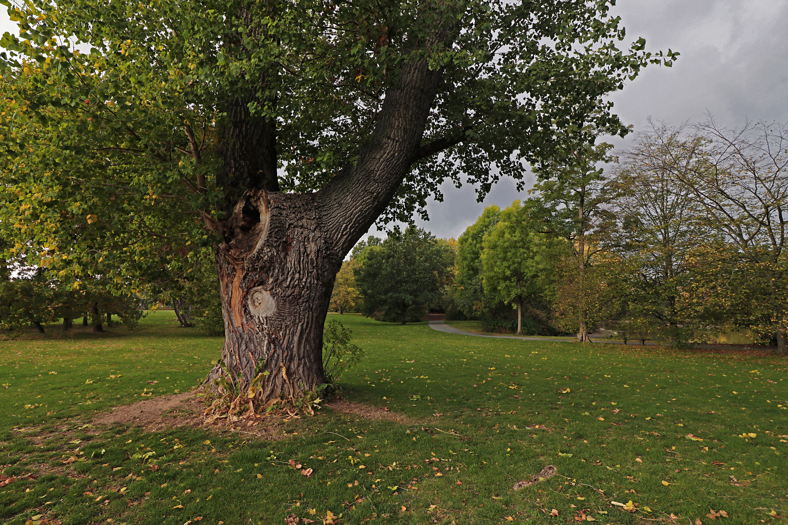 Wiese am Lünischteich