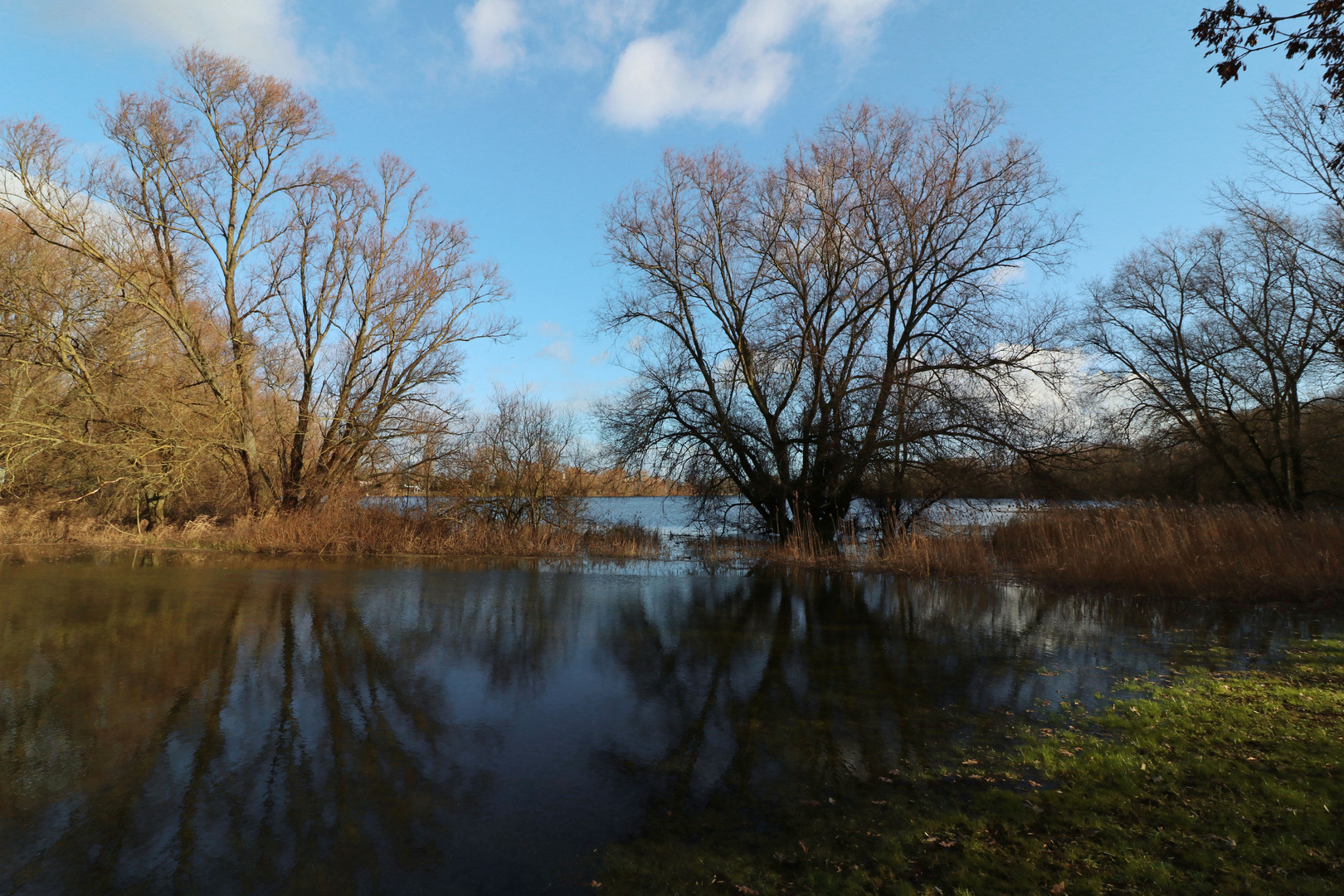 Wiese am Ölper See