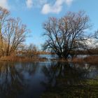 Wiese am Ölper See