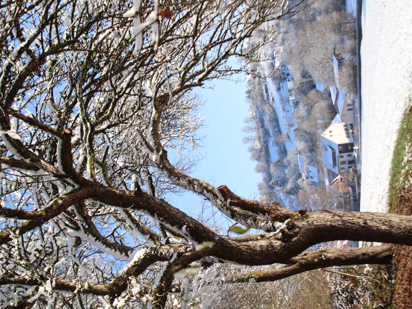 Wiese am Waldrand im Winter 