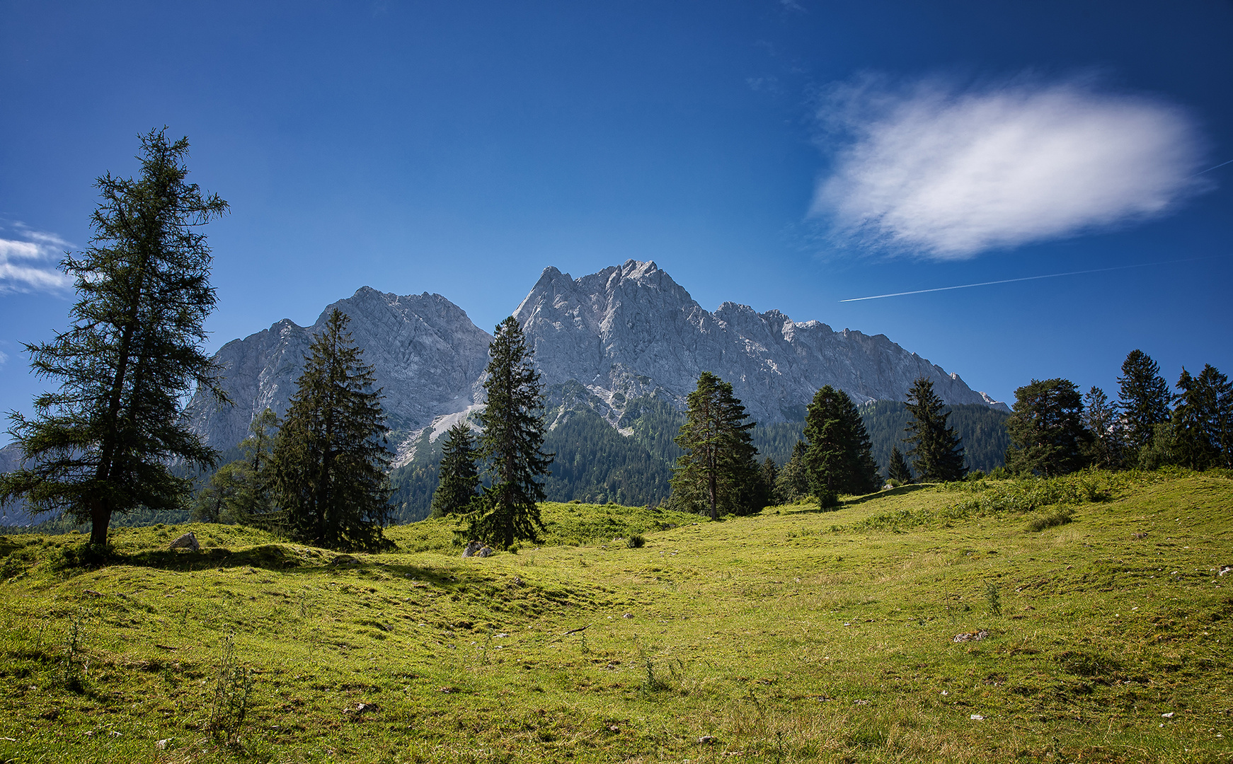 Wiese, Bäume, Berge, Himmel, Flieger, Wolke