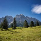 Wiese, Bäume, Berge, Himmel, Flieger, Wolke