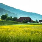 Wiese bei Gutach im Elztal