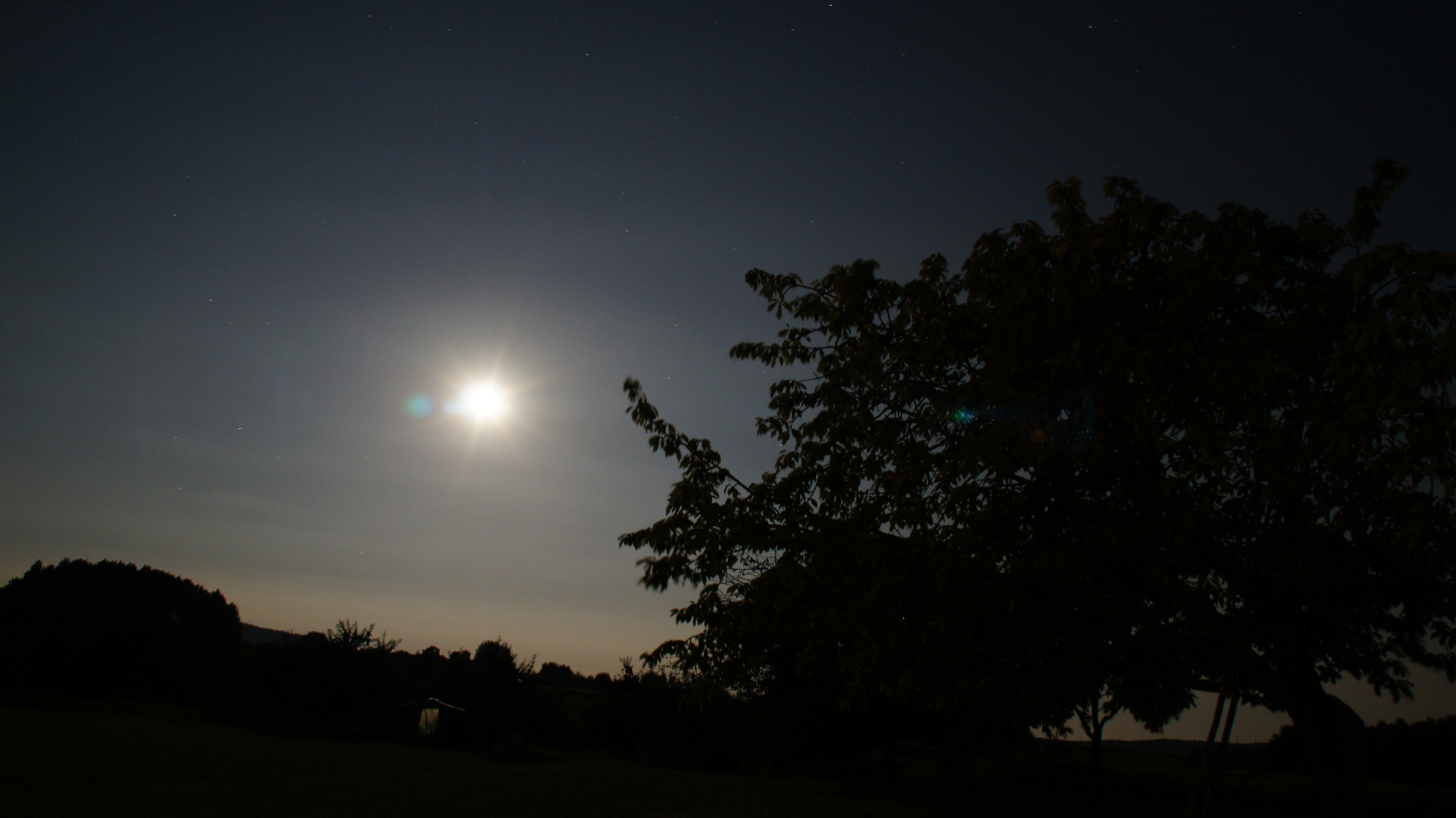 Wiese bei Nacht