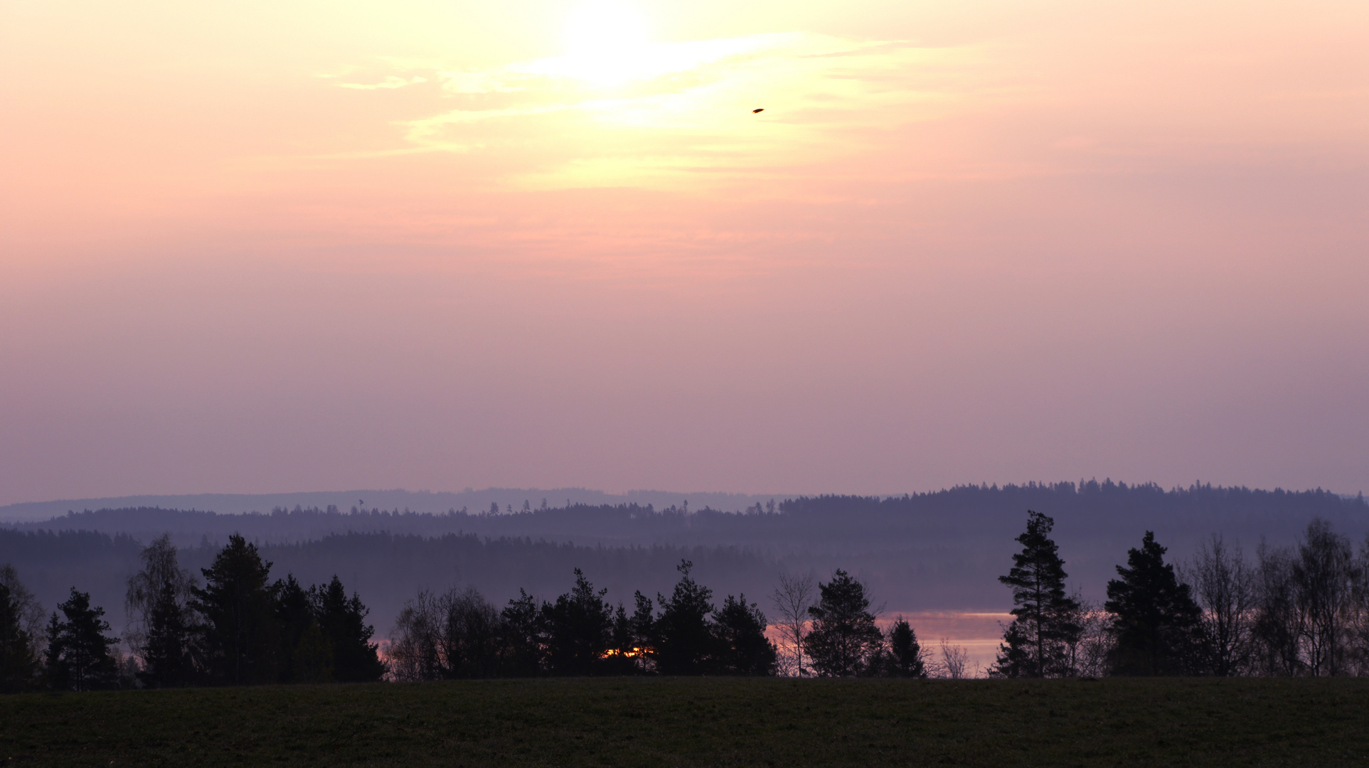 Wiese bei Sonnenaufgang