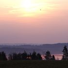 Wiese bei Sonnenaufgang