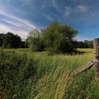 Wiese bei Veltenhof