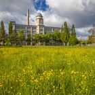 Wiese beim Glaspalast