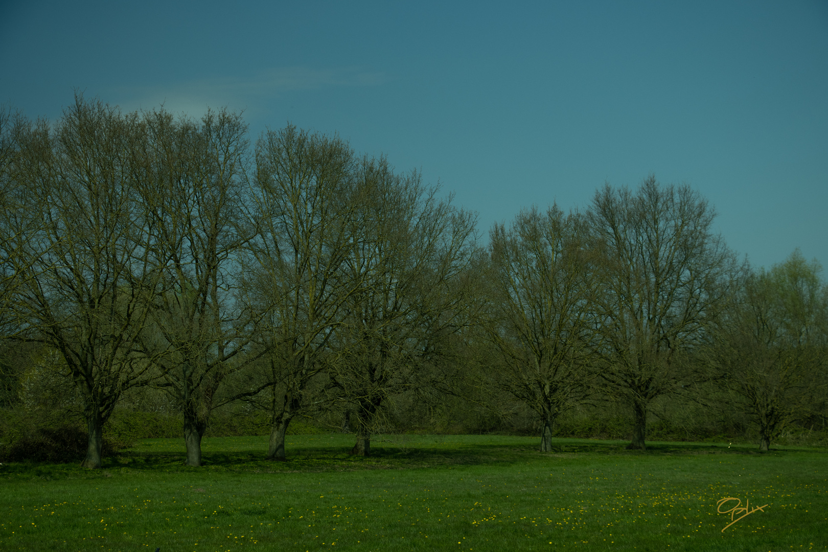 Wiese beim Kloster Graefenthal 