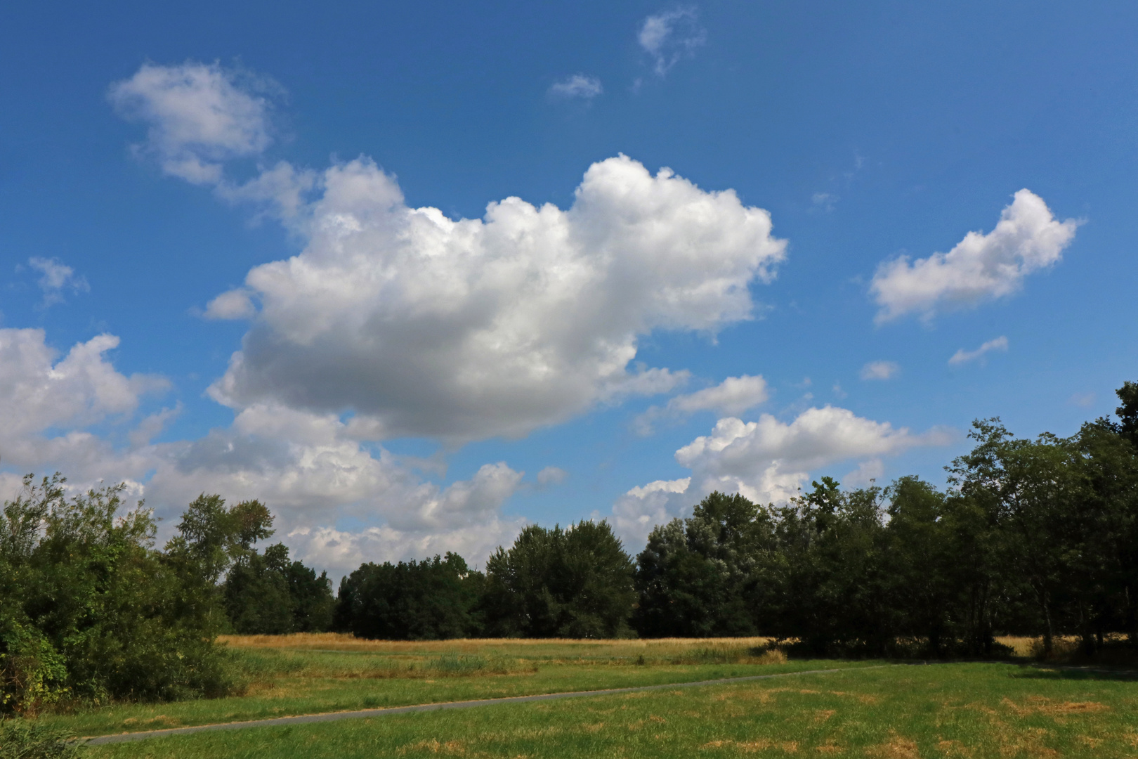 Wiese beim Ölper See