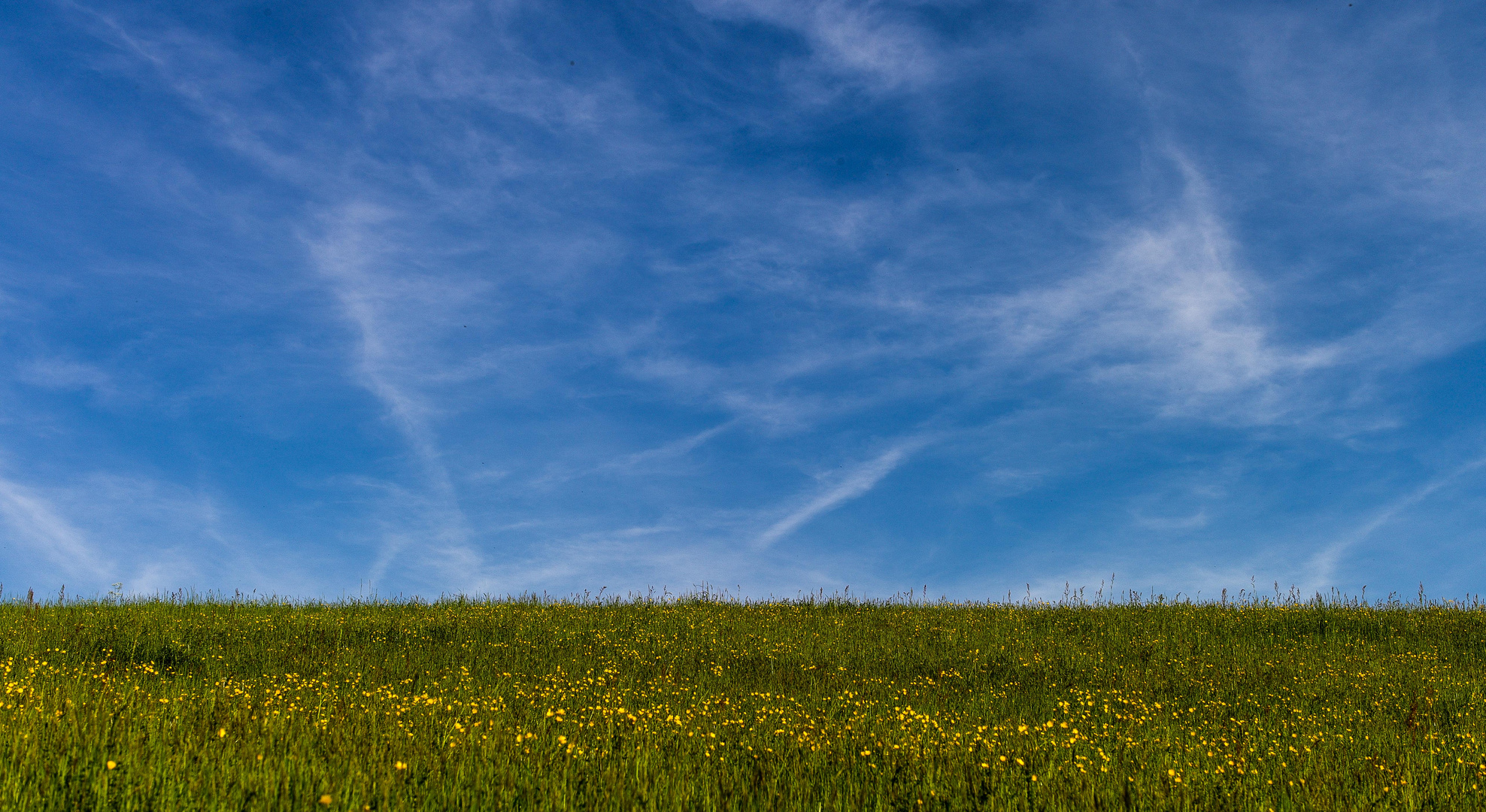 Wiese & Himmel