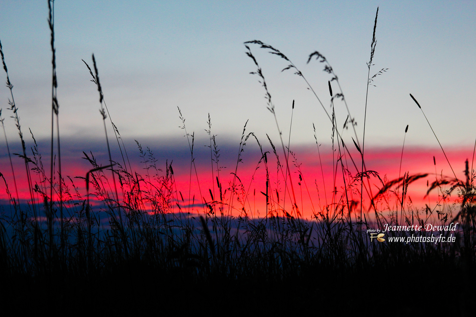 Wiese im Abendrot / Sonnenuntergang - Photos by FC - Jeannette Dewald