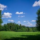 Wiese im Bayerischen Wald