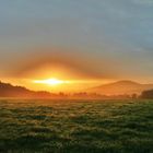 Wiese im ersten Licht