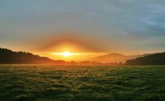 Wiese im ersten Licht