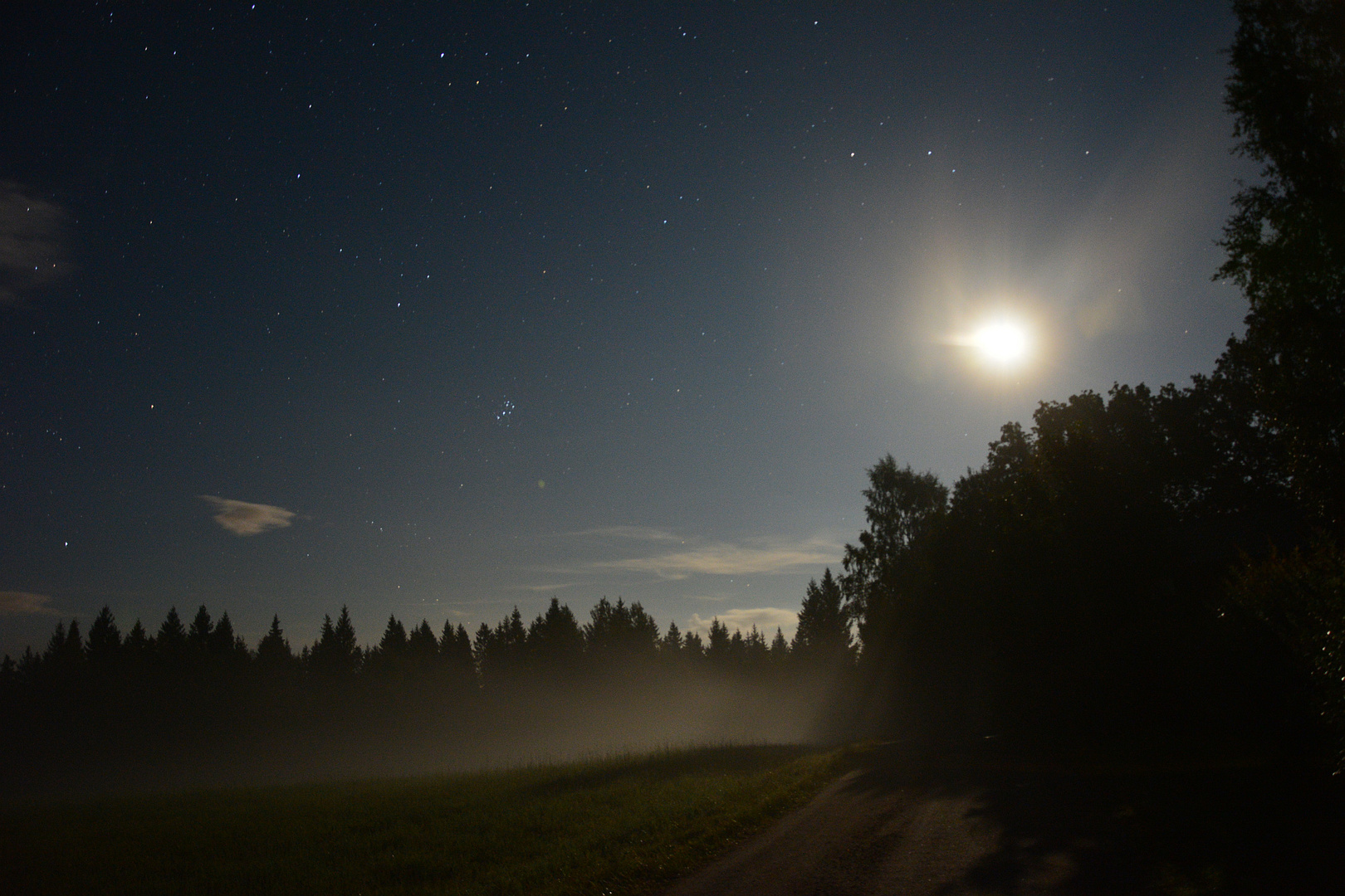 Wiese im Mondlicht