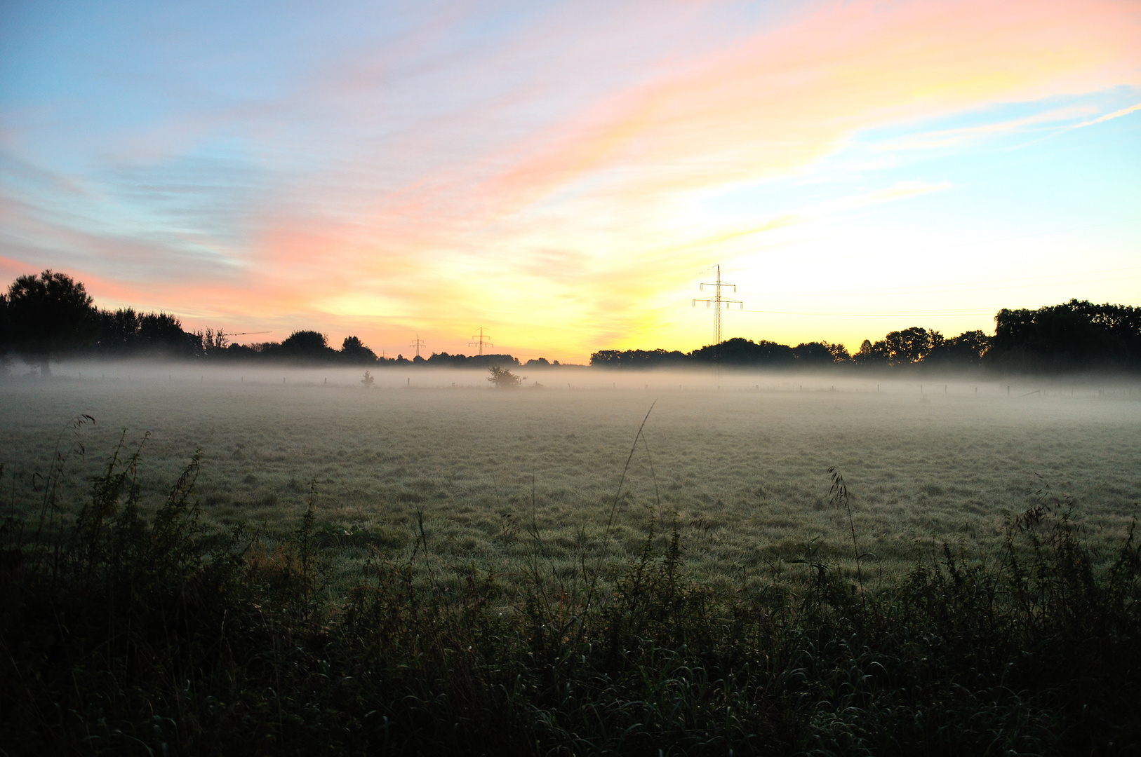 Wiese im Nebel