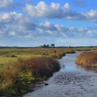 Wiese im Oktober