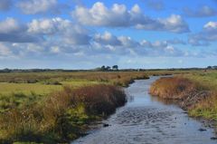 Wiese im Oktober