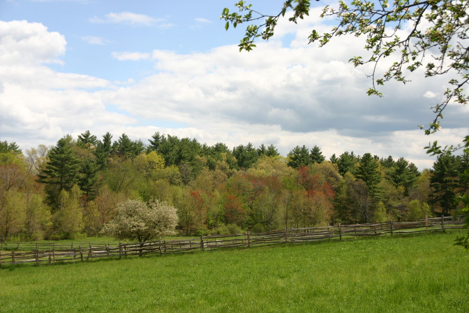 Wiese im Old Sturbridge Village