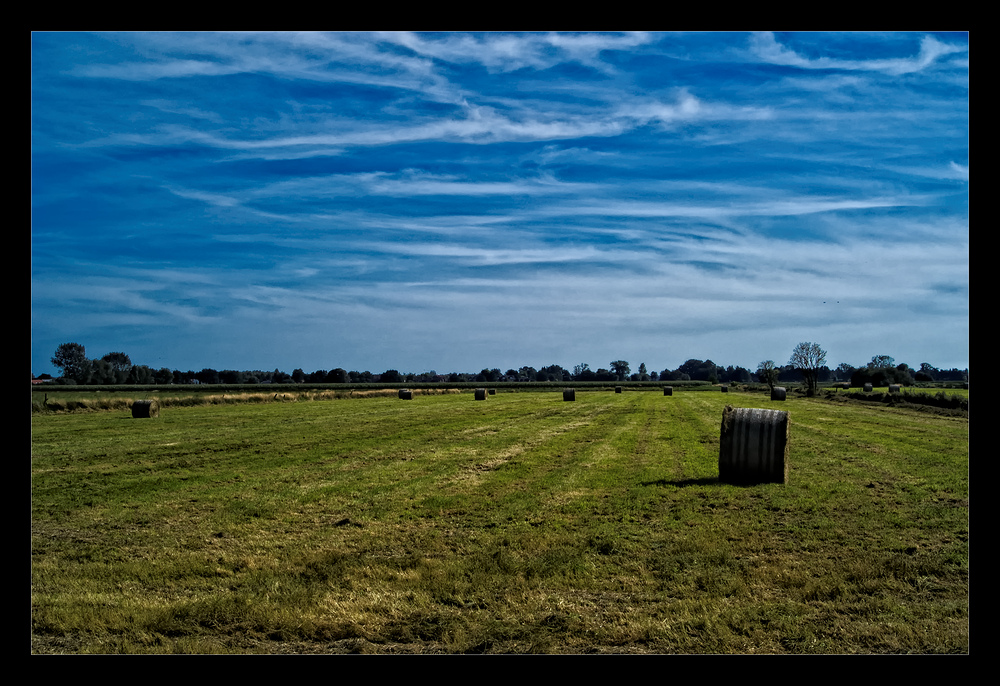 Wiese im Sommer mit Wolken