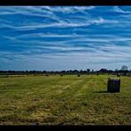 Wiese im Sommer mit Wolken