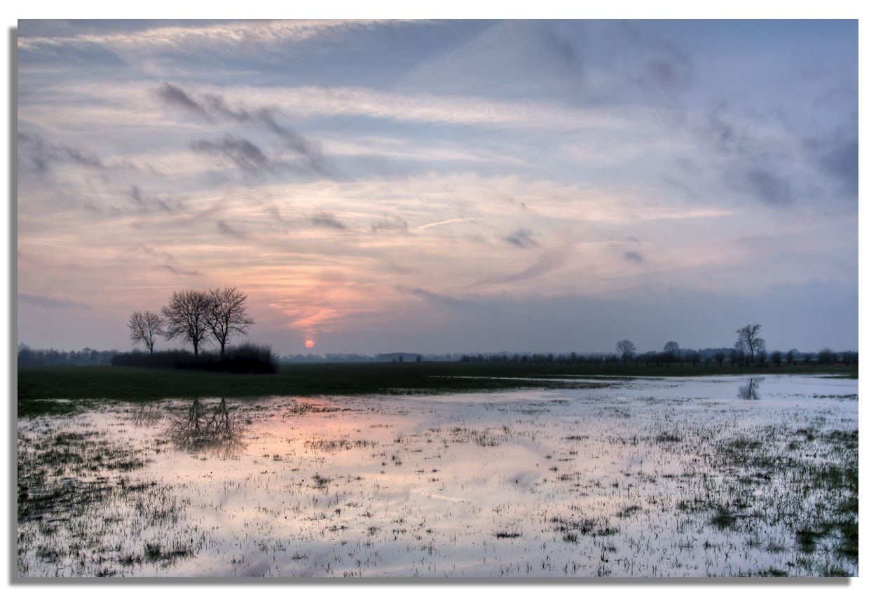 Wiese im Sonnenuntergang