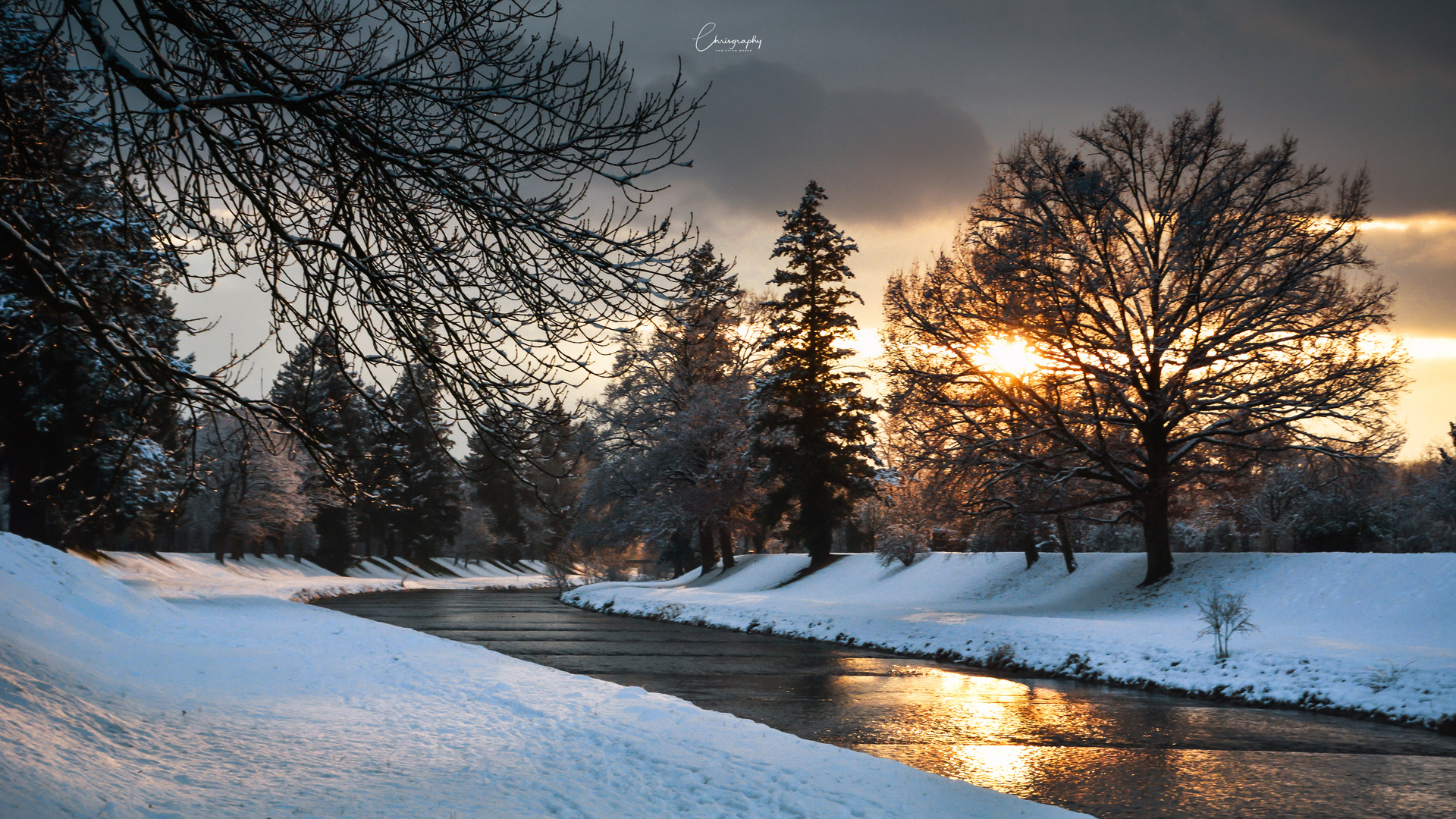 Wiese im Winter