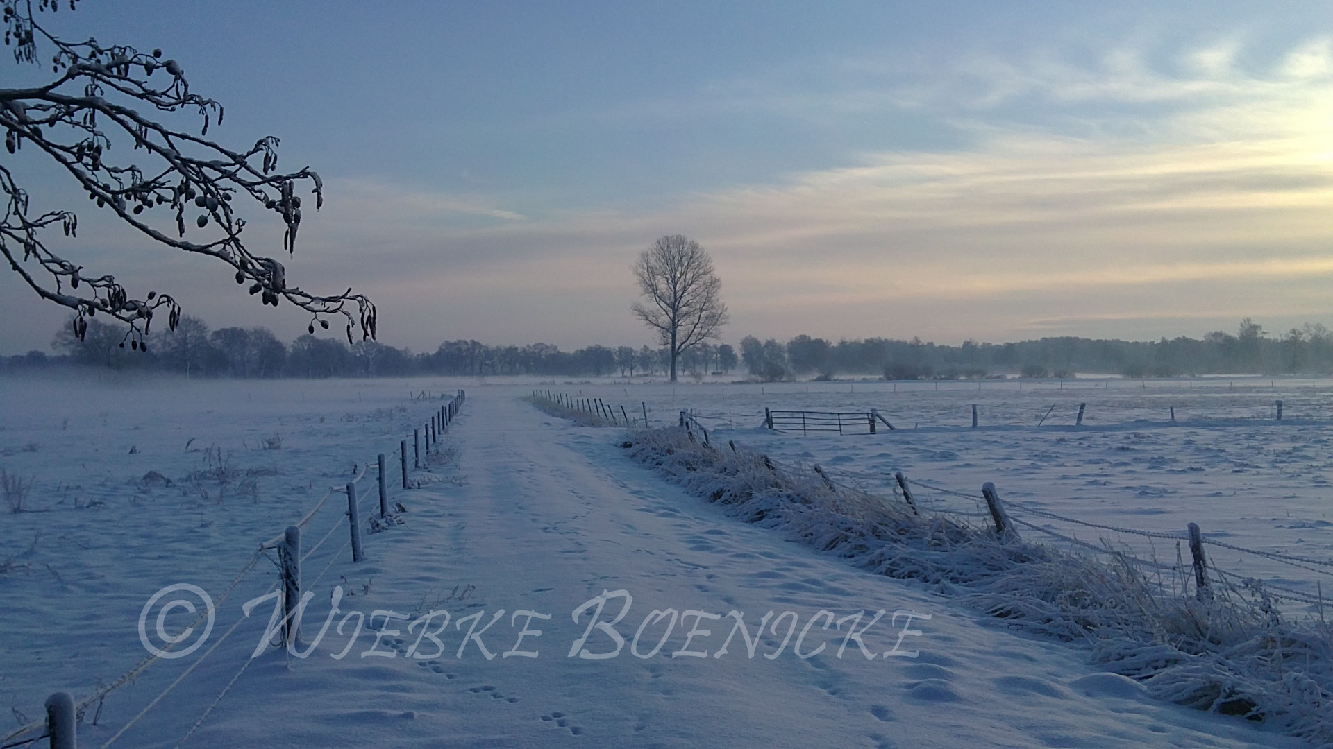 Wiese im Winter