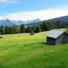 Wiese in den Alpen