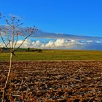 Wiese in NRW