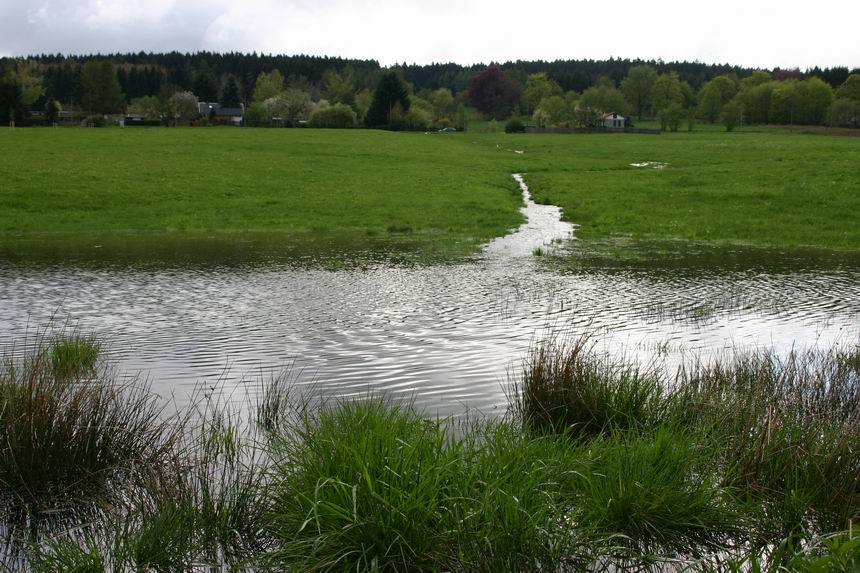 Wiese in Tambach