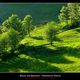 Landschaftsfotos