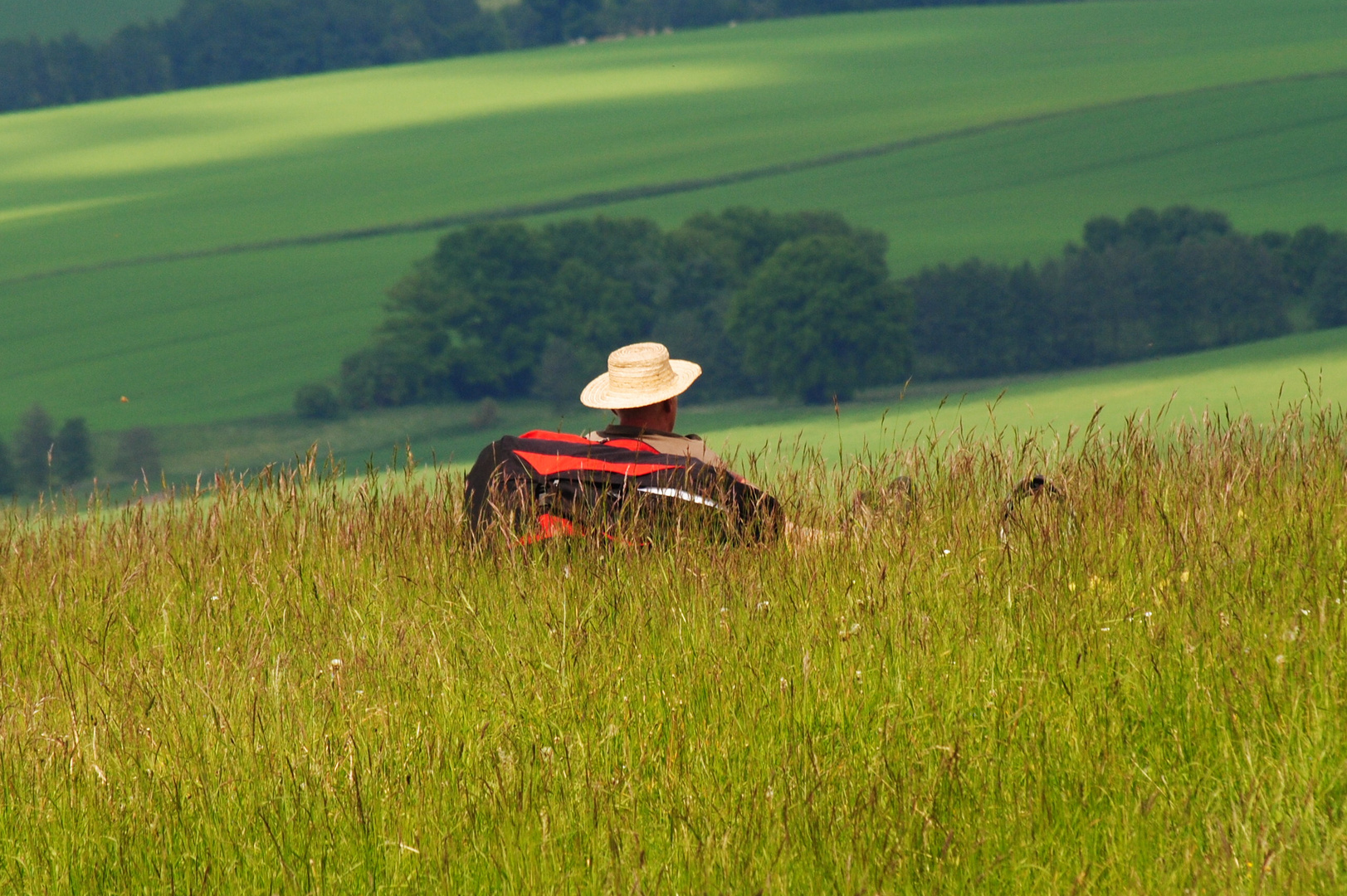 Wiese mit Hut